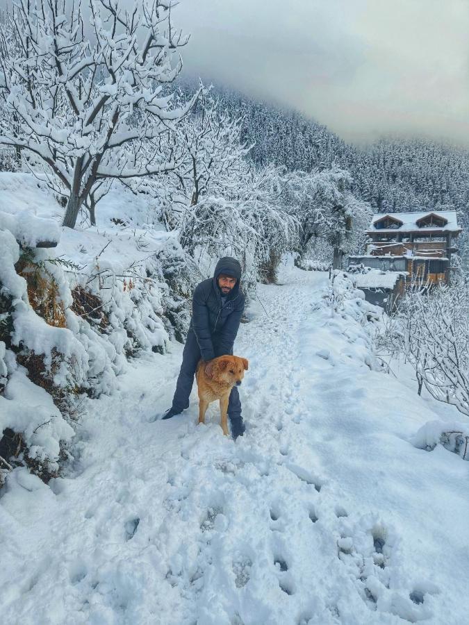 Incredible Guest House Jibhi Экстерьер фото