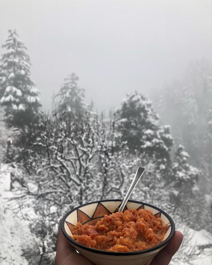 Incredible Guest House Jibhi Экстерьер фото